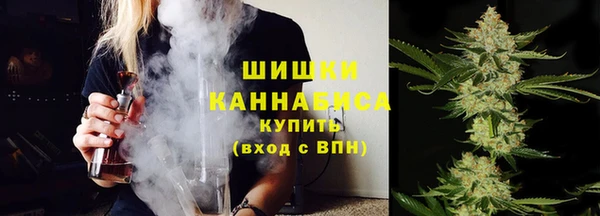 стаф Белоозёрский