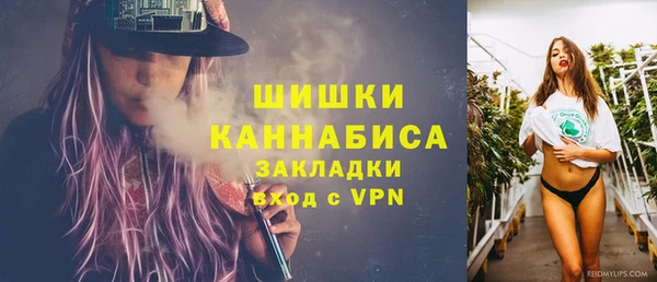 стаф Белоозёрский